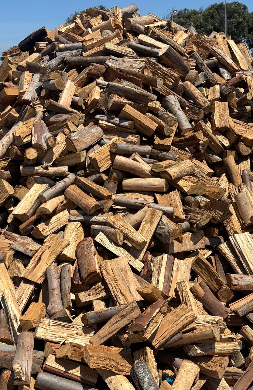blue gum firewood blue gum firewood