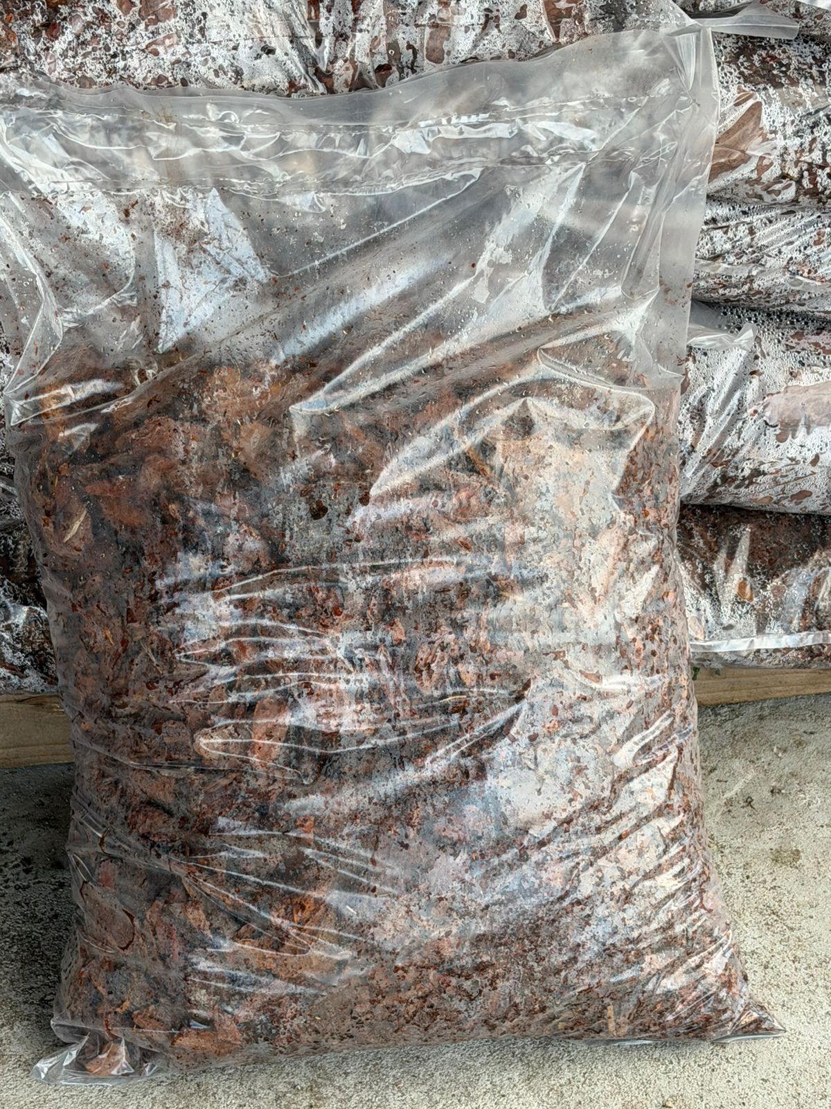 bark nugget mulch bark nugget mulch