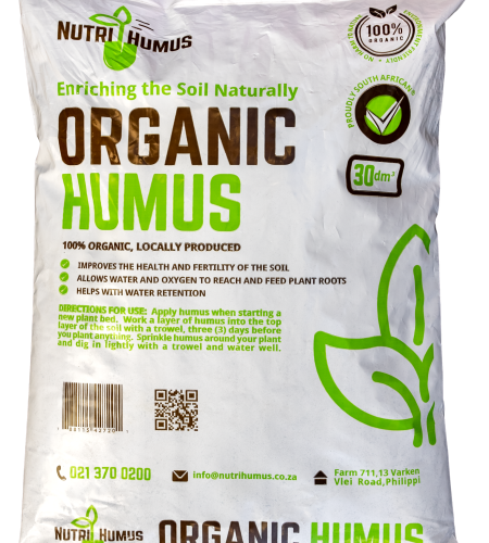 organic humus